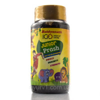 Чаванпраш детский Baidyanath Junior Prash, 500 г – аюрведический джем для иммунитета, памяти и развития детей
