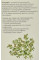 Хлорофіл з екстрактом м'яти, Green-Visa, 250ml - детокс, травлення, енерготонік