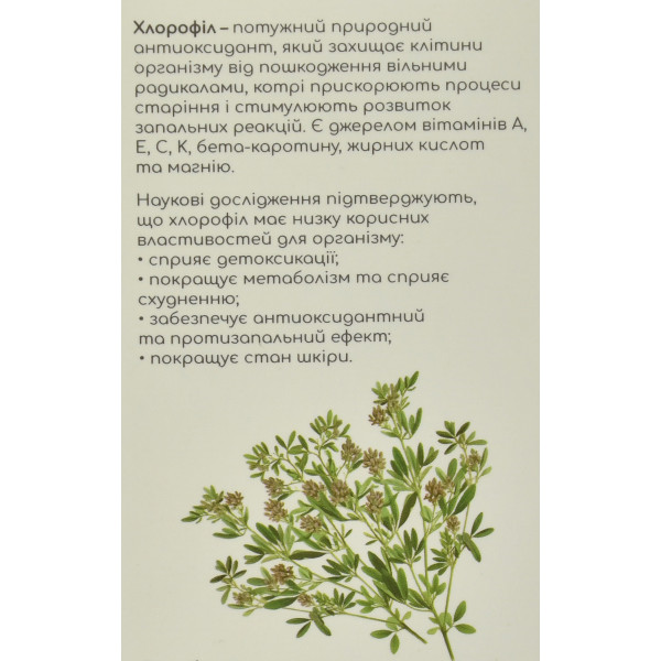 Хлорофіл з екстрактом м'яти, Green-Visa, 250ml - детокс, травлення, енерготонік