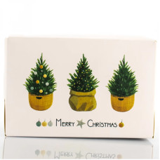 Подарочная коробочка, Merry Christmas Размеры: 18 x 12 x 8 - 60