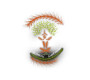 Himani 