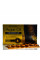 Флюїд-сироватка для обличчя з аргановим маслом, Concentrated Flluid with Argan Oil, Revuele, 7*2 ml