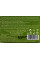 Мыло Киви, Exotic Kiwi Soap, Vaadi Herbals, Индия 75г