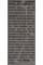 Женьшень+Элеутерокок питьевой Eleuthero Ginseng Royaljelly Dr.Chen 10*10 мл (100 ml)