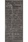 Женьшень+Элеутерокок питьевой Eleuthero Ginseng Royaljelly Dr.Chen 10*10 мл (100 ml)