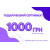 Электронный 1000 