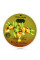 Крем батер для тела с аргановым маслом, Body Butter with Argan Oil, Belle Jardin, 300 ml