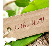 Новинки